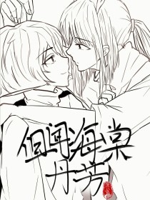 蓝色500柠檬导航